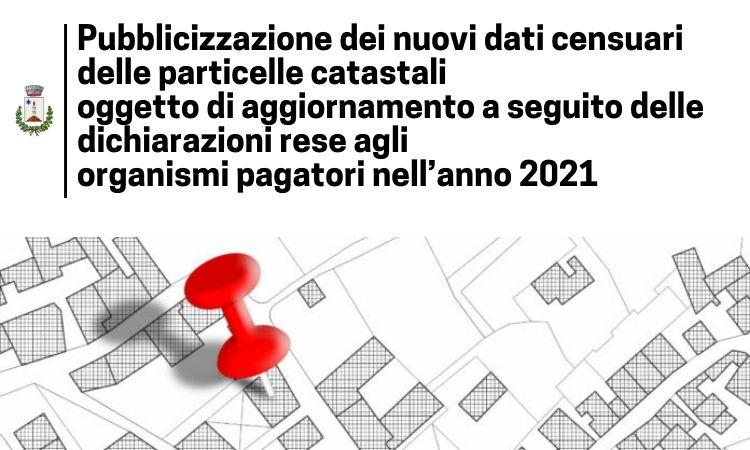 immagine rappresentativa