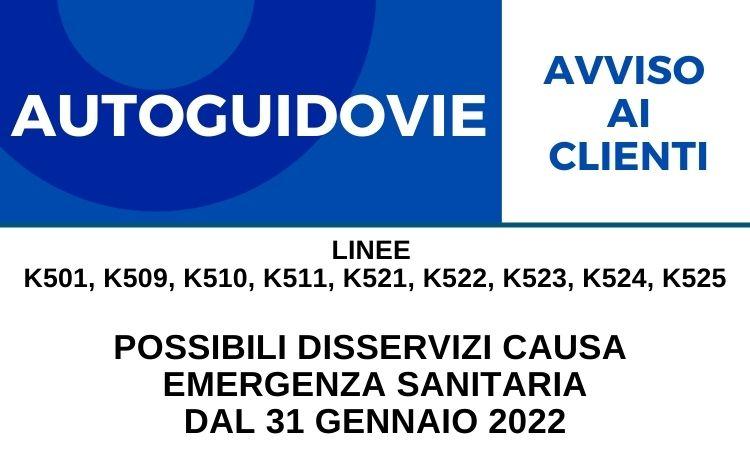 immagine rappresentativa