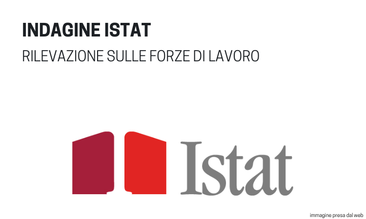 Indagine istat